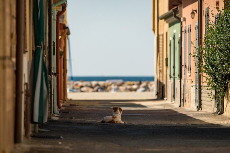 Vacanze estate 2022: le località più belle d'Italia