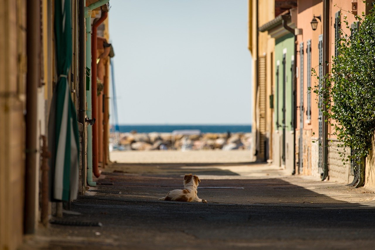Vacanze estate 2022: le località più belle d'Italia